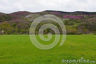 Mountain landscape with meadows and Varied Vegetation Stock Photo