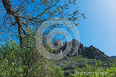 Hiking pathway- journey through roads, mystical nature Stock Photo