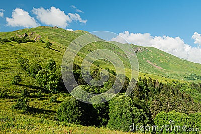 mountain landscape summer forests meadows grass flowers sky clouds Stock Photo