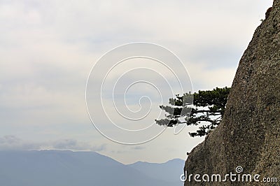 Mountain landscape, tree on a cliff top Stock Photo