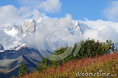 Mountain landscape in Upper Svaneti, zone of alpine meadows,Georgia Stock Photo