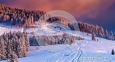 winter scene. colorful sunset over snow covered trees in an idyllic mountain landscape Stock Photo