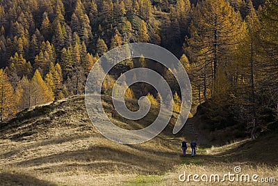 Mountain Landscapes Stock Photo