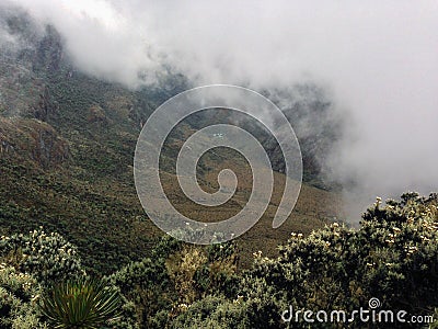 Mountain landscapes in the Rwenzori Mountains Stock Photo