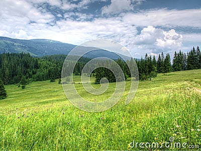 Mountain meadow Stock Photo