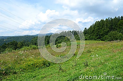 Mountain meadow Stock Photo