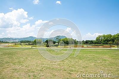 The mountain meadow grass Stock Photo