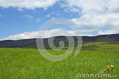 Mountain meadow scene, Croatia Stock Photo