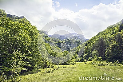 Mountain meadow Stock Photo