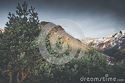 Mountain moody landscape - springtime Stock Photo