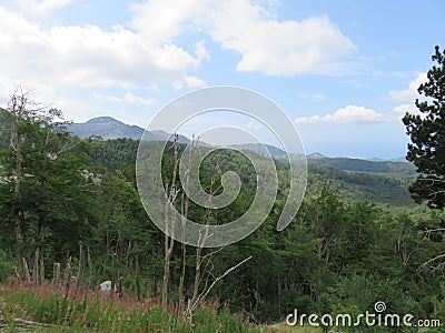 Mountain Orjen Montenegro forest scenery and nature landscape Stock Photo