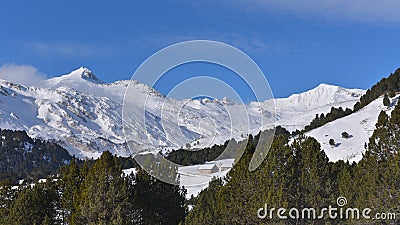 Mountain panorama, with snow, pines and blue sky Stock Photo