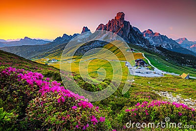 Mountain pass with flowery fields on the hills, Dolomites, Italy Stock Photo