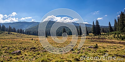 Mountain pastures Stock Photo