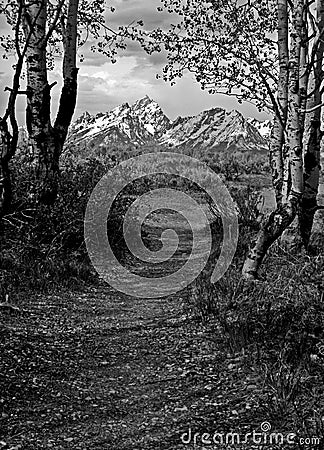 Mountain Path Stock Photo