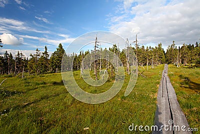 Mountain path in Krkonose Stock Photo