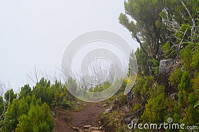 Mountain path. Misty landscape. Stock Photo