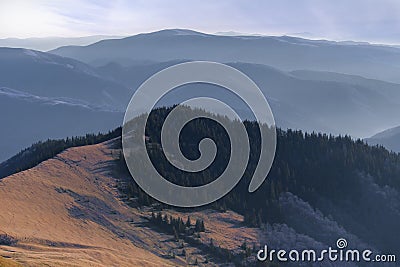 Mountain peak covered with coniferous forest in cold light Stock Photo