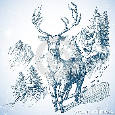 Mountain pine tree forest Vector Illustration
