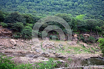 Mountain portion in Hogenakkal Falls Stock Photo