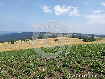 Mountain Rajac Serbia potato field near hiking trail Stock Photo