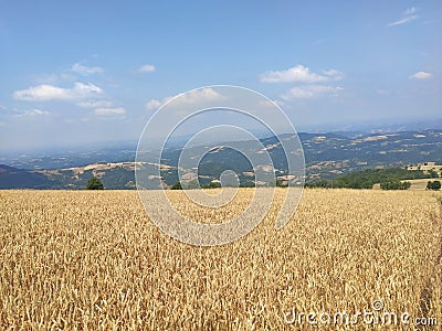 Mountain Rajac Sumadija Serbia mountain top Stock Photo