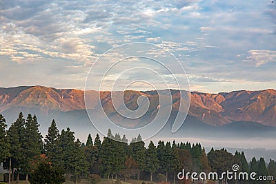 Mountain range with green pine and fog in Aso, Kumamoto, Japan Stock Photo