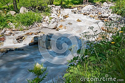 Mountain river, against the mountains forest, originating from a thawing glacier Stock Photo