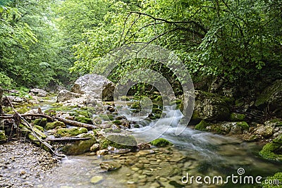 Mountain river in forest and mountain terrain, Grand canyon, Crimea Stock Photo