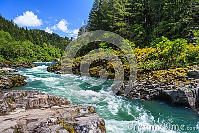Mountain river and forest in North Cascades National Park Washington USA Stock Photo