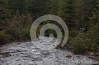 Mountain river in high Tatras, Poland Stock Photo