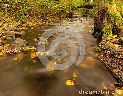 Mountain river with low level of water, gravel with first colorful leaves. Mossy rocks and boulders on river bank. Stock Photo