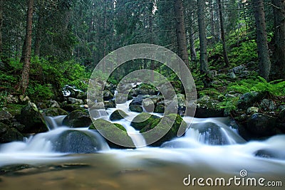 The mountain river in Rila Stock Photo