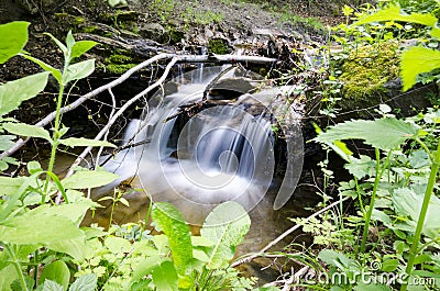 Mountain river among stones and foliage bushes Stock Photo