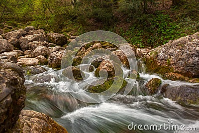 Mountain river water stream over rocks in the forest Stock Photo