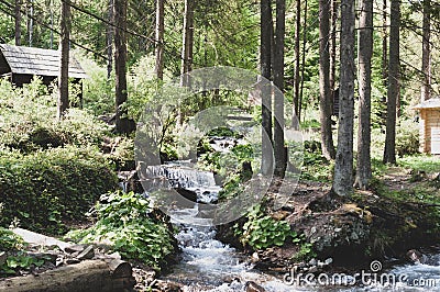 Mountain river and waterfall between rocks, stones and green trees in forrest Stock Photo