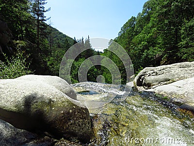 Mountain rivulet. Small river between big white stones. Gorge, green hills and coniferous trees. Stock Photo