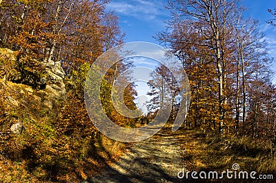 Mountain road at autumn sunny day at Zeljin mountain Stock Photo