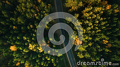 Mountain road and autumn trees above the forest. Yellow, red and green nature, high top view. Aerial drone shoot with wonderful te Stock Photo