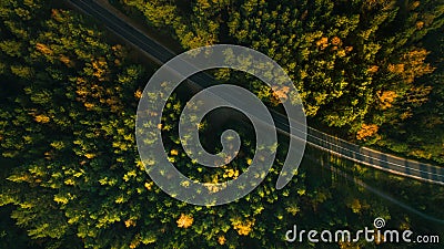 Mountain road and autumn trees above the forest. Yellow, red and green nature, high top view. Aerial drone shoot with wonderful te Stock Photo