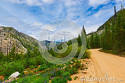 Mountain road, East Fork Road to McCall, Idaho Stock Photo