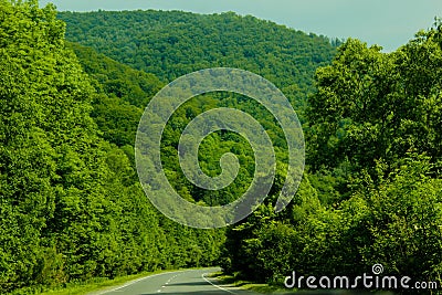 Mountain road landscape in summer Stock Photo