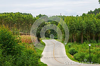 Mountain road on the outskirts of the green tree-shaded countryside Stock Photo