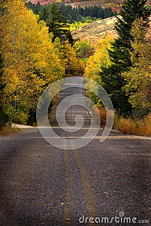 Mountain Road Way Roadway Travel Drive Forest Fall Colors Autumn Stock Photo