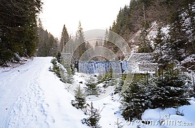 A mountain road on winter season with a small waterfall with a lot of fir trees Stock Photo