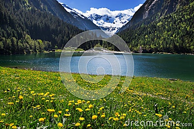 Mountain scenery clear lake with meadow flowers in foreground Stock Photo