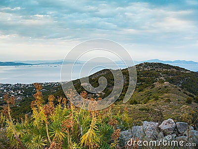 Mountain and sea landscape with mountain plants euphorbia in clo Stock Photo