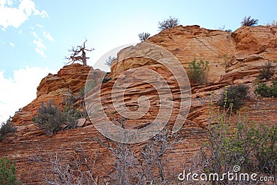 Mountain skyline in Zion National Park Stock Photo