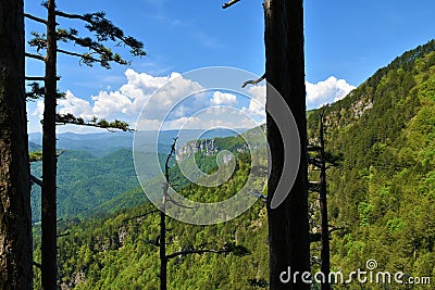 Mountain slopes above Kolpa valley and bellow Krokar mountain i Stock Photo
