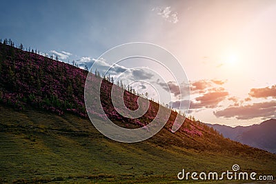 Mountain slopes during sunset. Natural summer landscape in mysterious backlight Stock Photo